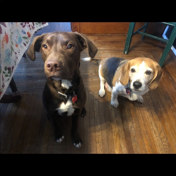 Meet your Posher, Mark - Picture 1 of 1